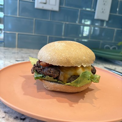 Sourdough Fresh Milled Hamburger Buns