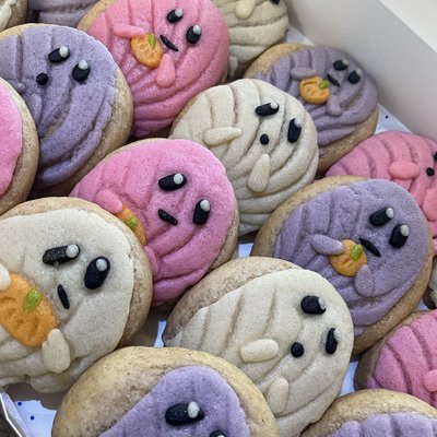 Concha Bite GHOSTS 