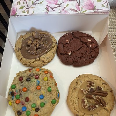 Dozen-Cookie Sampler-4 Flavors