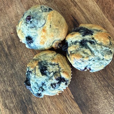 Blueberry Muffins 