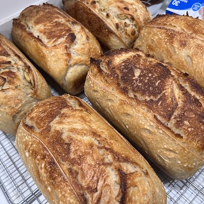 Classic Plain Sourdough