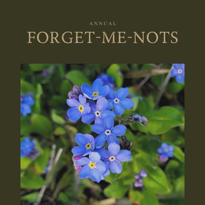 Forget-Me-Not 