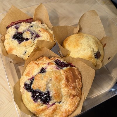 Blueberry Muffins