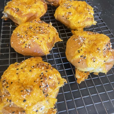 Cheddar Bagel 