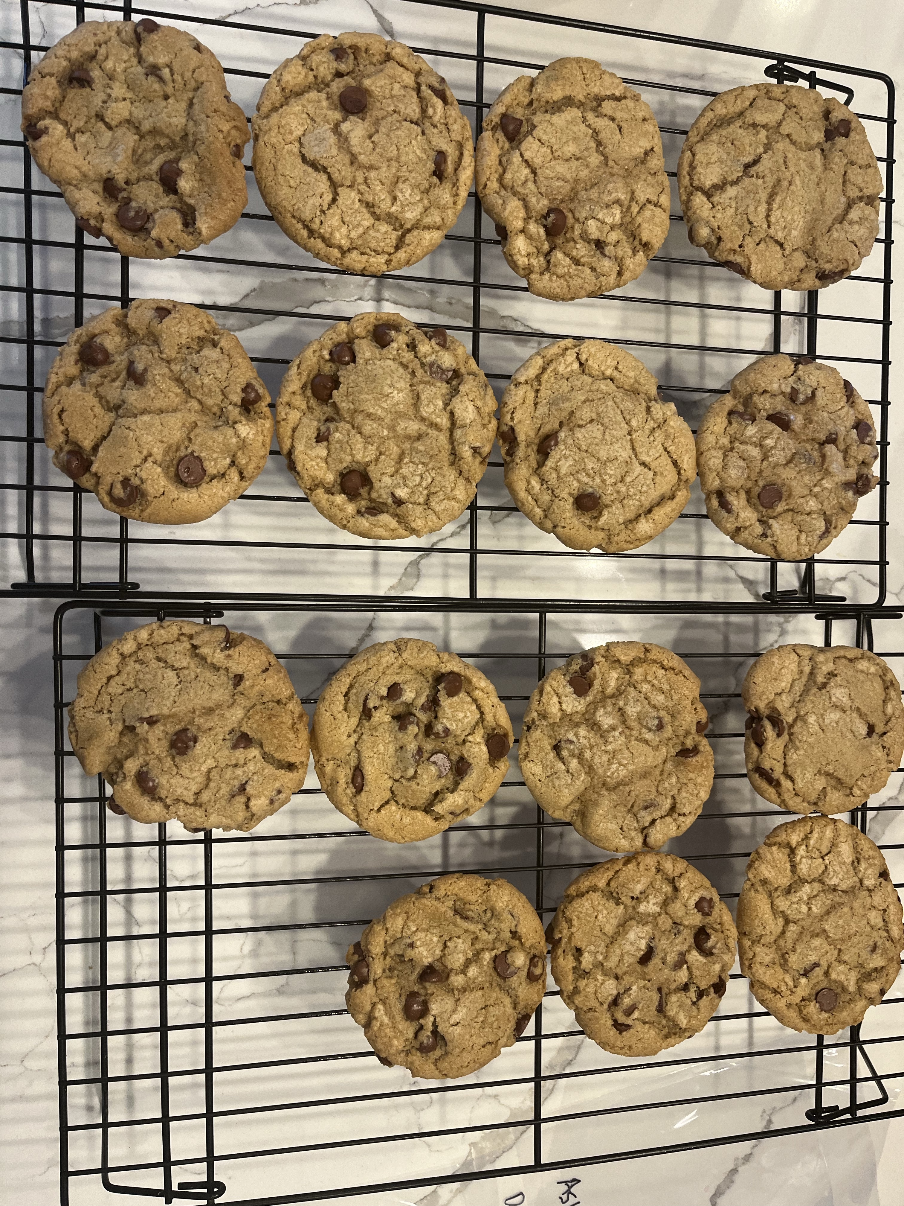 Vegan Chocolate Chip Cookie