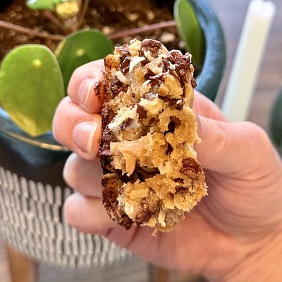 The Grown-Up Girl Scout Cookie (6)