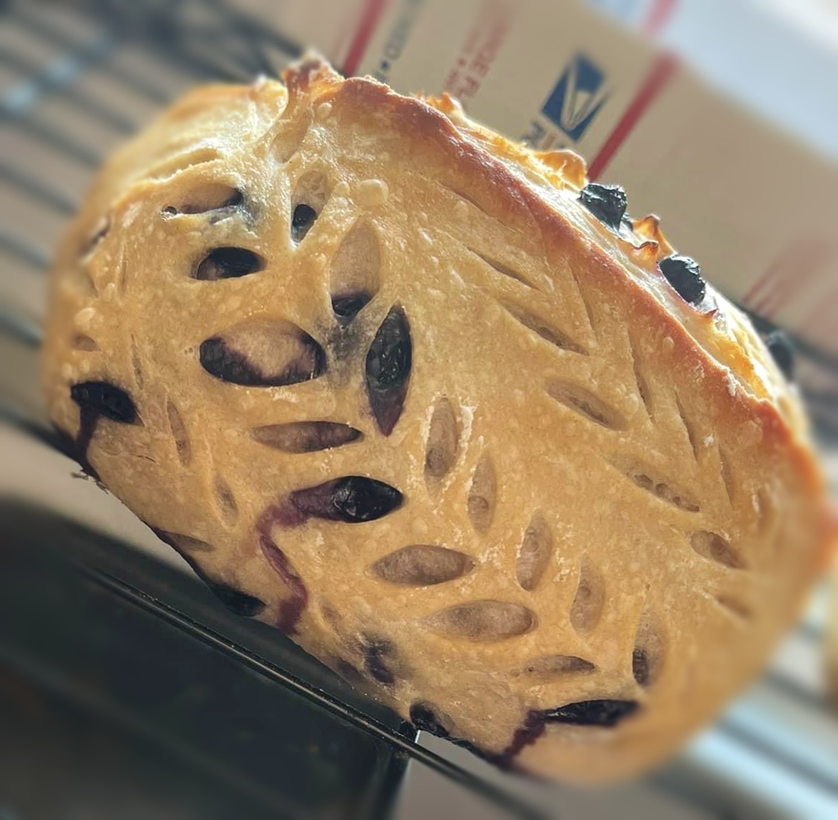Blueberry Lemon Sourdough 