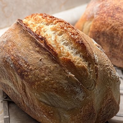 Plain Sourdough Loaf