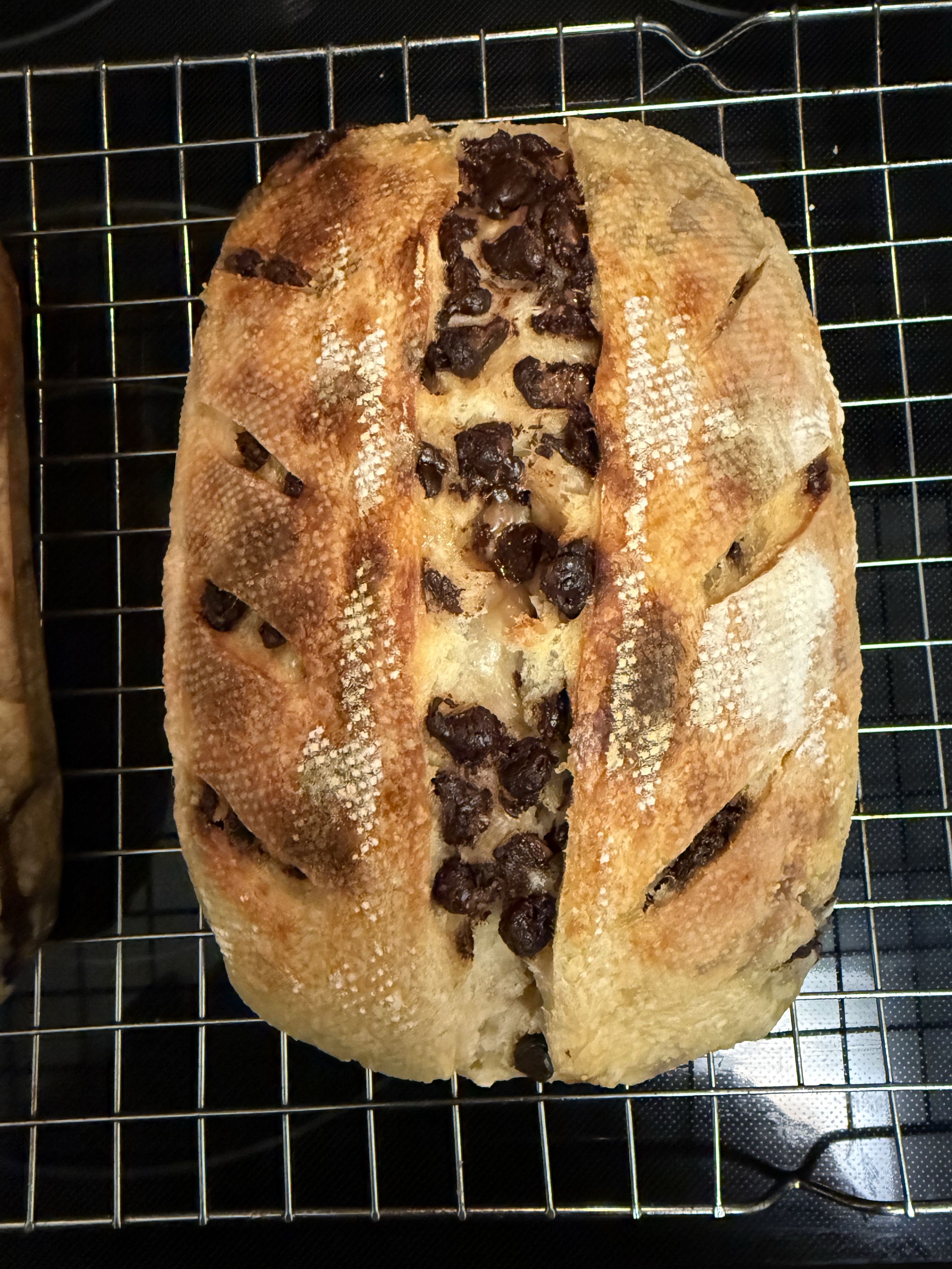 Chocolate Chip Sourdough