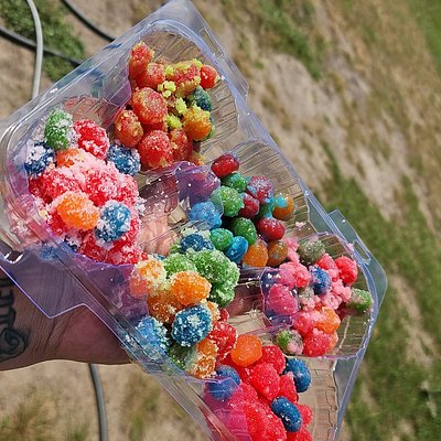 6 Pack Gushers Sampler