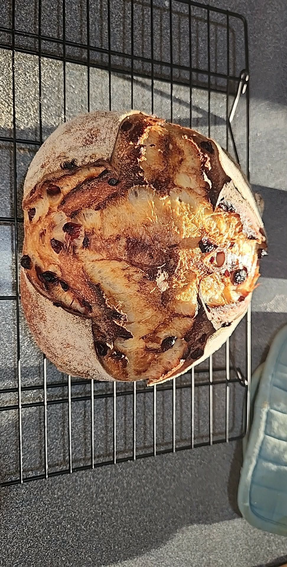 Cranberry Orange Sourdough