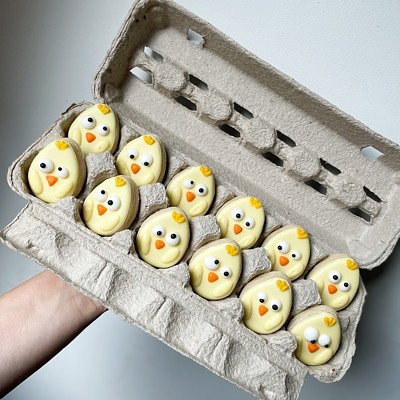 mini chicks in egg carton