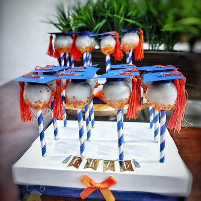 VEGAN THEMED CAKE POPS (12)