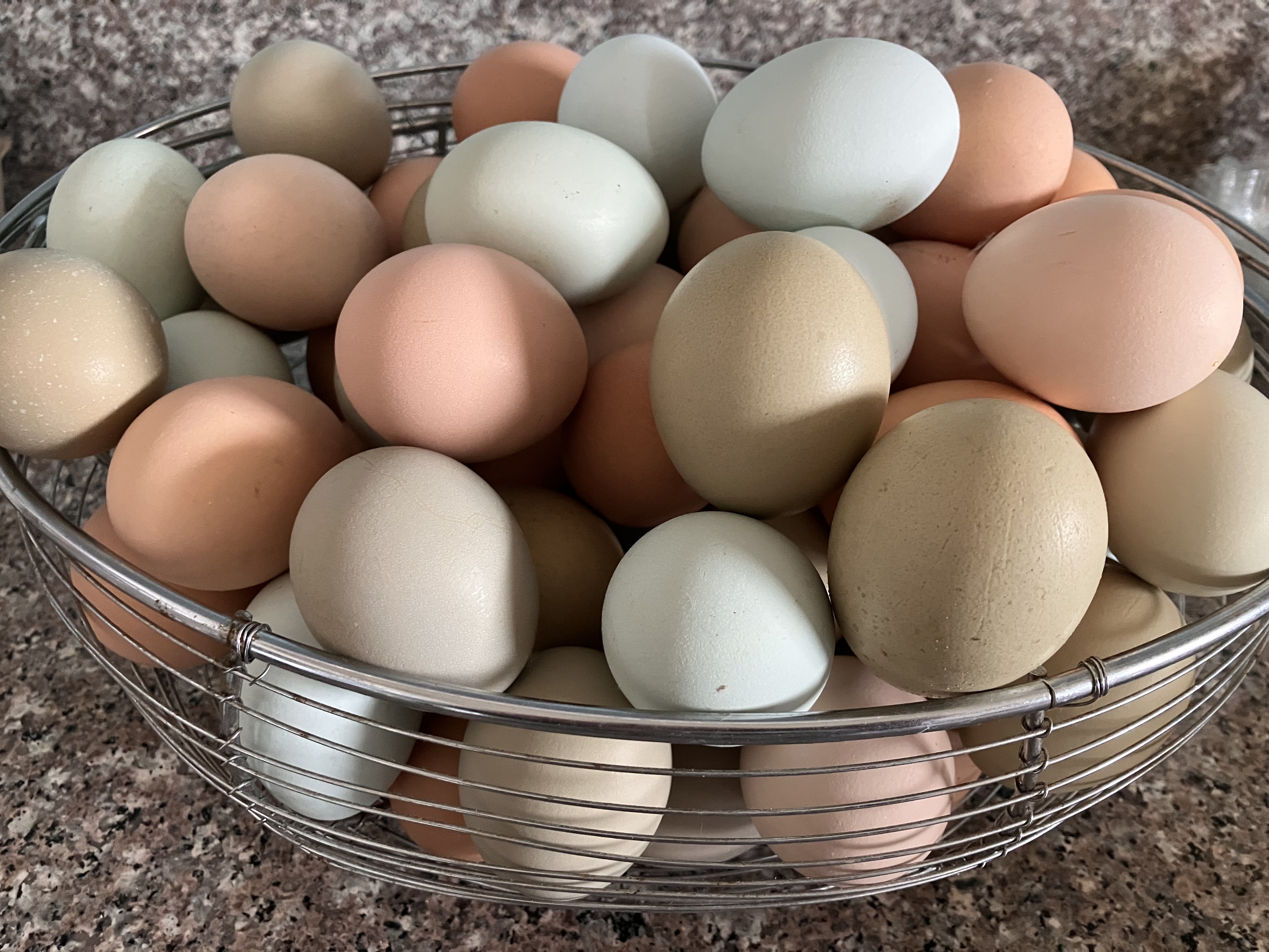 Farm-Fresh Eggs