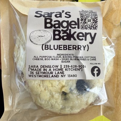 Blueberry Bagel