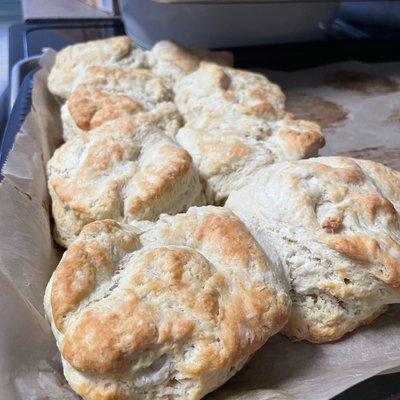 Frozen Biscuits- Dozen