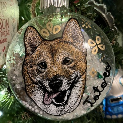 Large Clear Shaker Pet Ornament  🎄🐾🎁