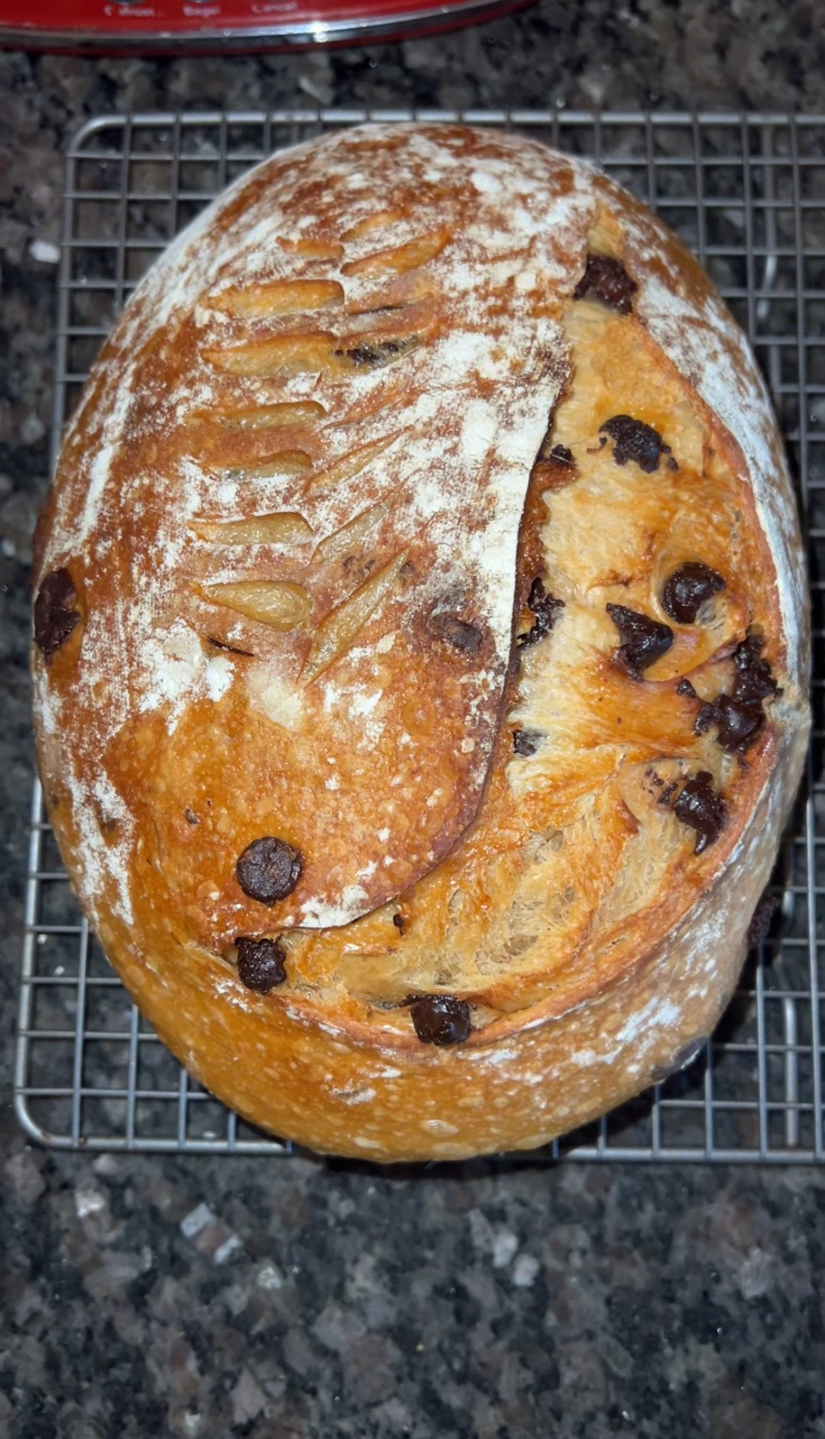 Inclusion Bâtard Sourdough Loaf