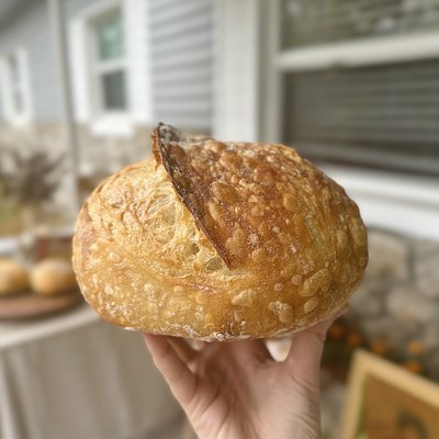 Sourdough Loaf