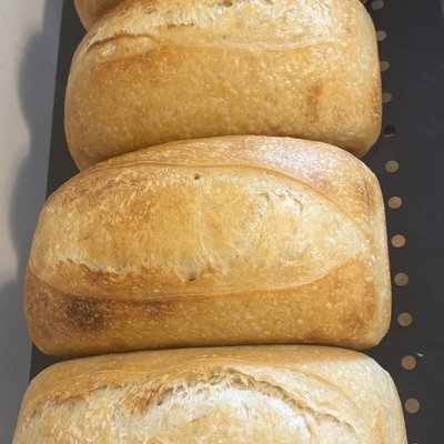 Sandwich Sourdough 