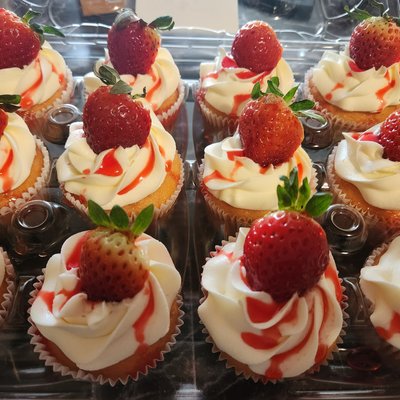 Gourmet Cupcakes