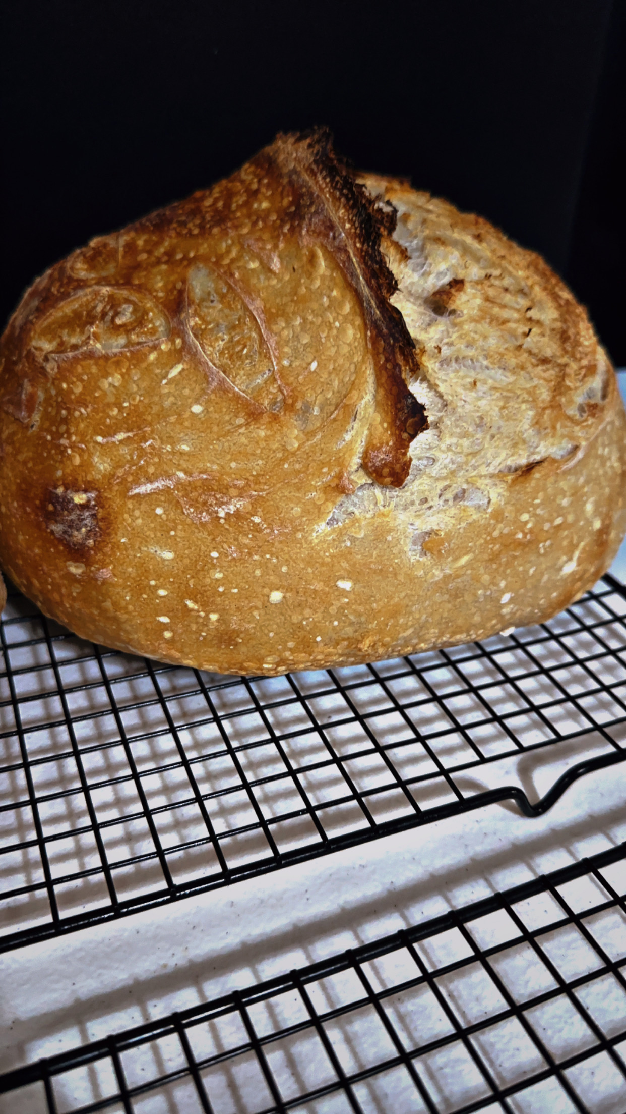 Sourdough Original 