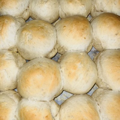 Dozen Sourdough Dinner Rolls