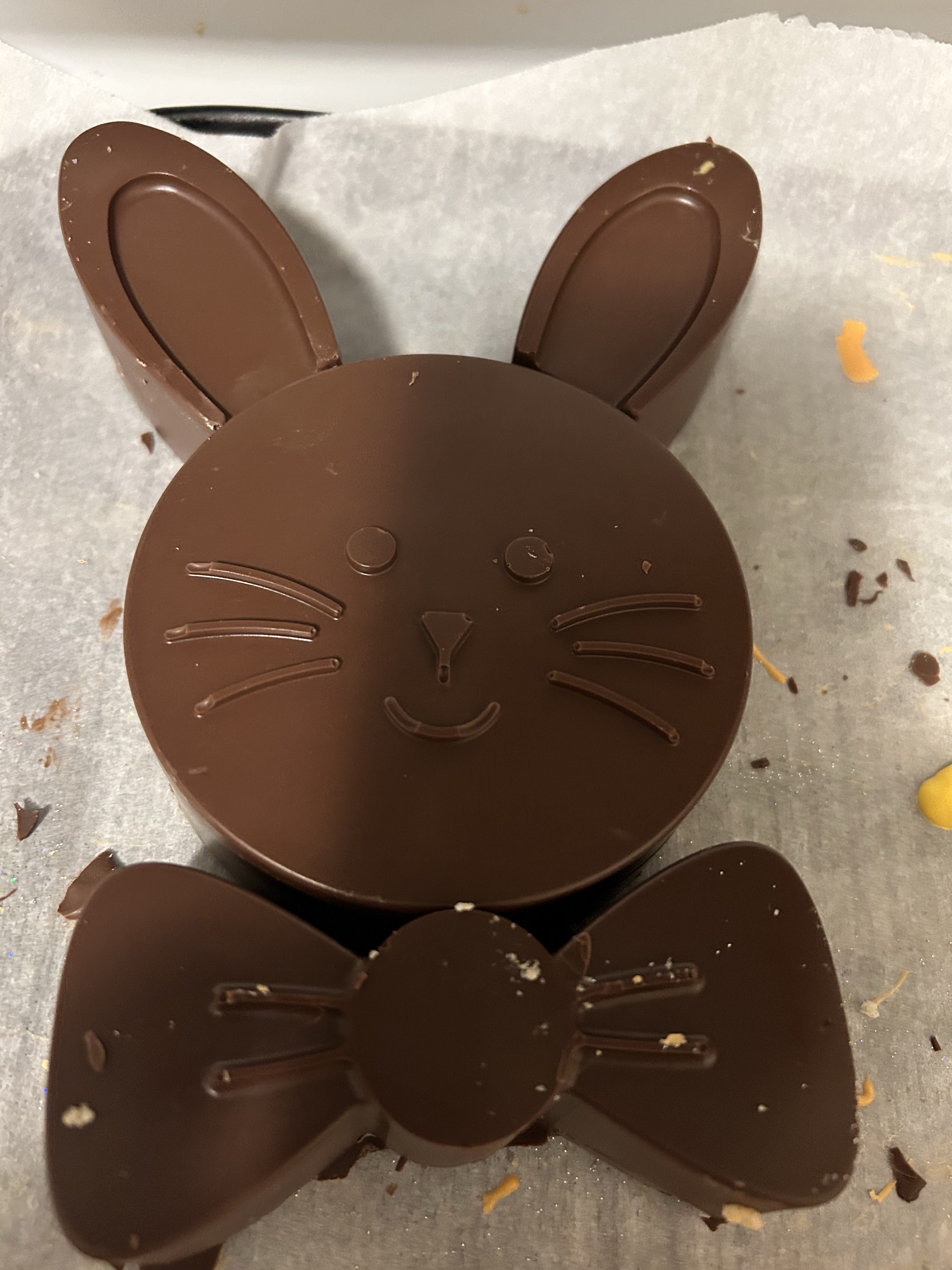 Stuff Chocolate Bunny