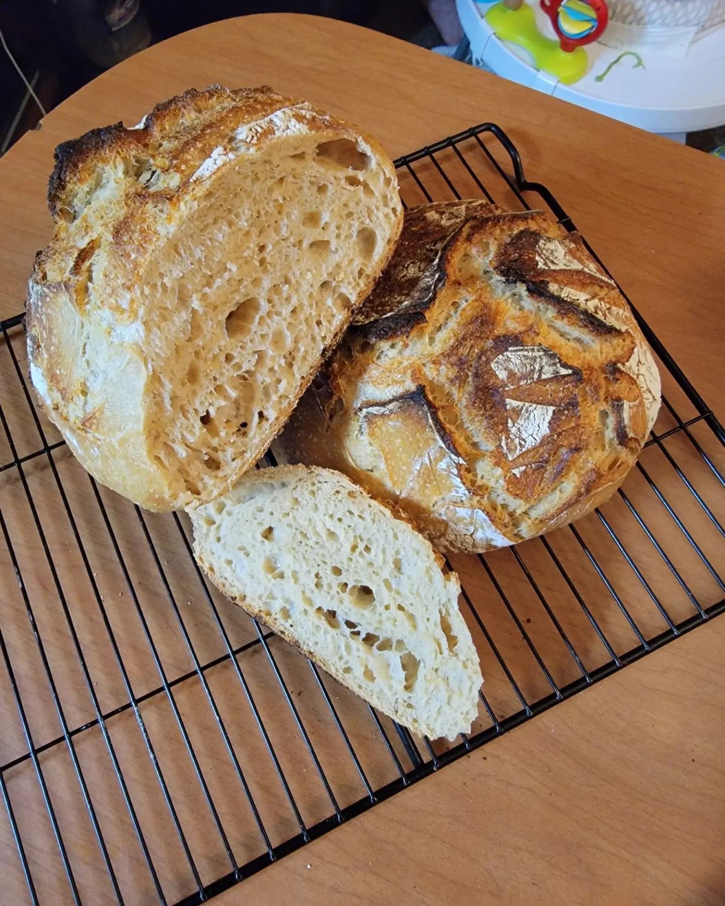 Sourdough Artisan Loaf