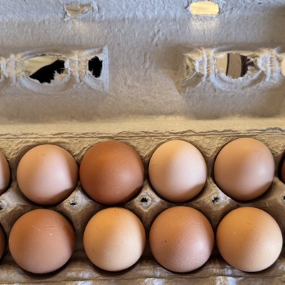 Eggs