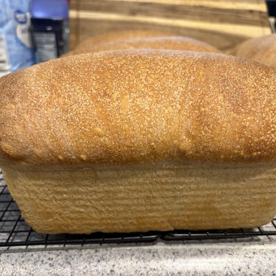 Honey White Sandwich Bread