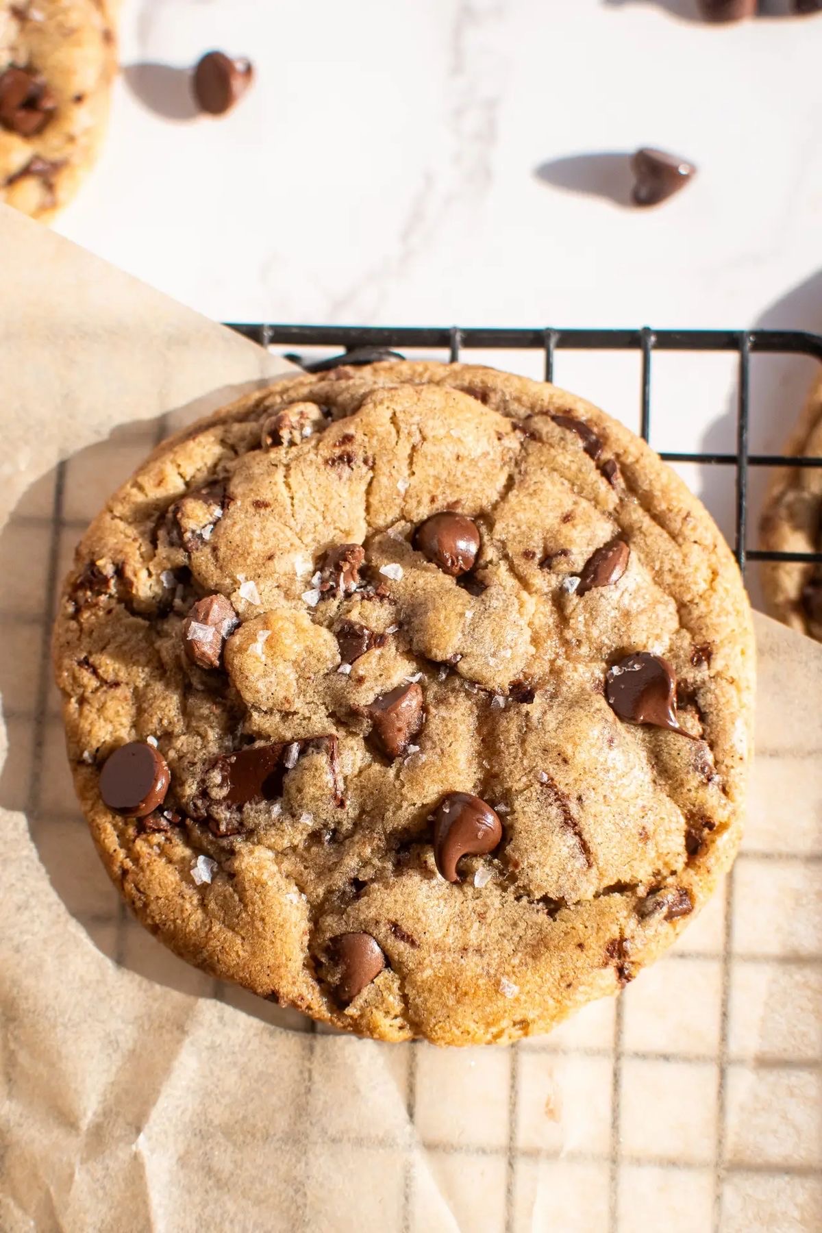 🍪 Chocolate Chip Cookie 