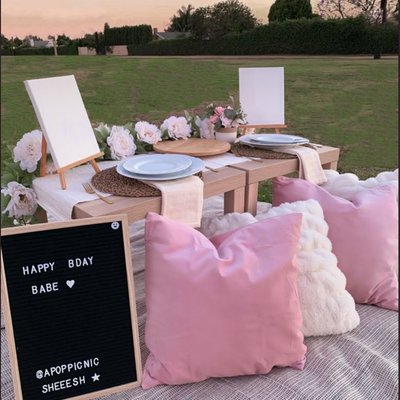 PICNIC SERVICES✨🧺