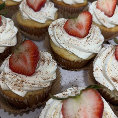 Dozen Cupcakes 