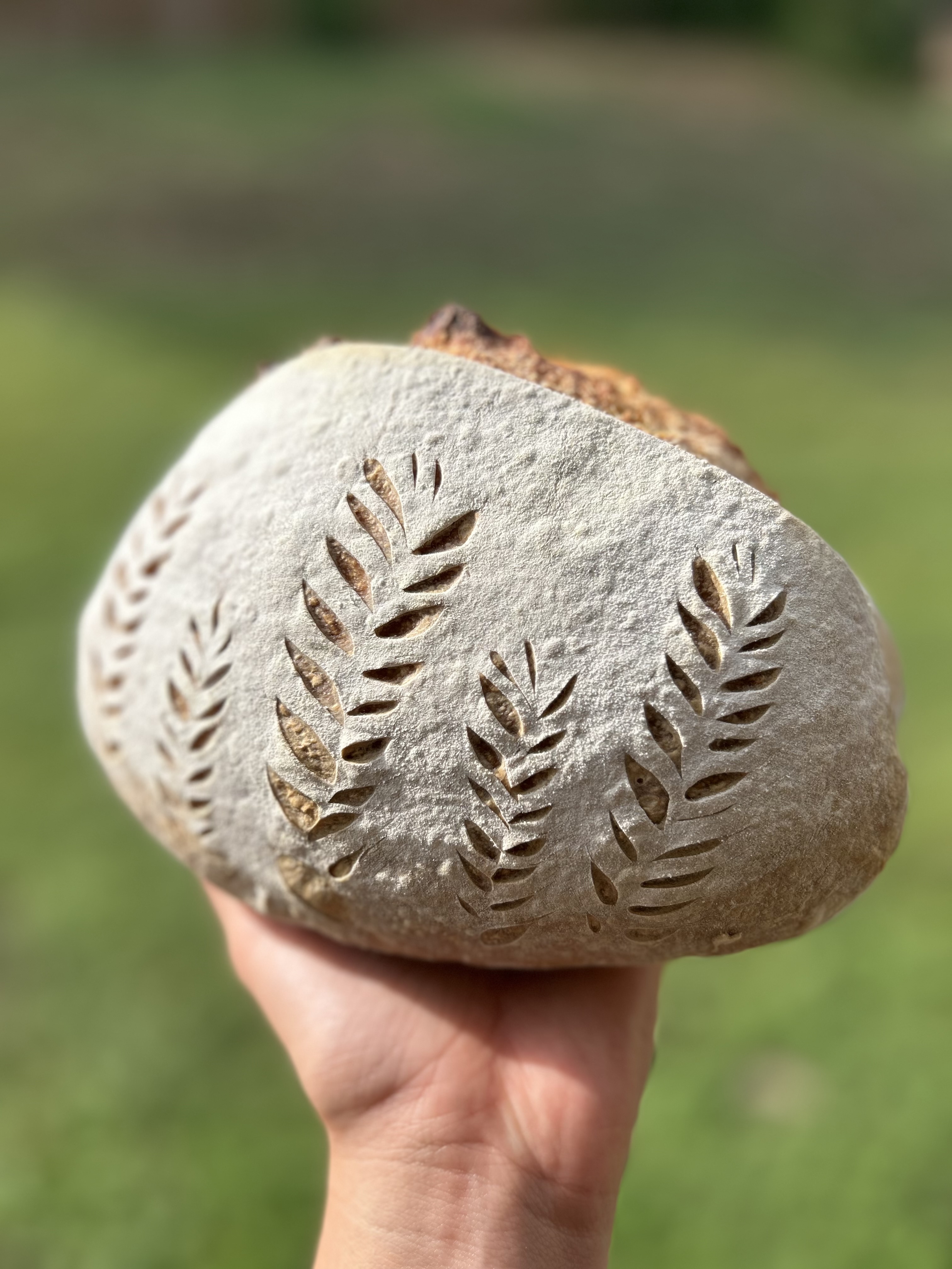 Original Sourdough