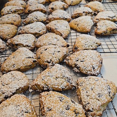 Blueberry Scones (4pk)