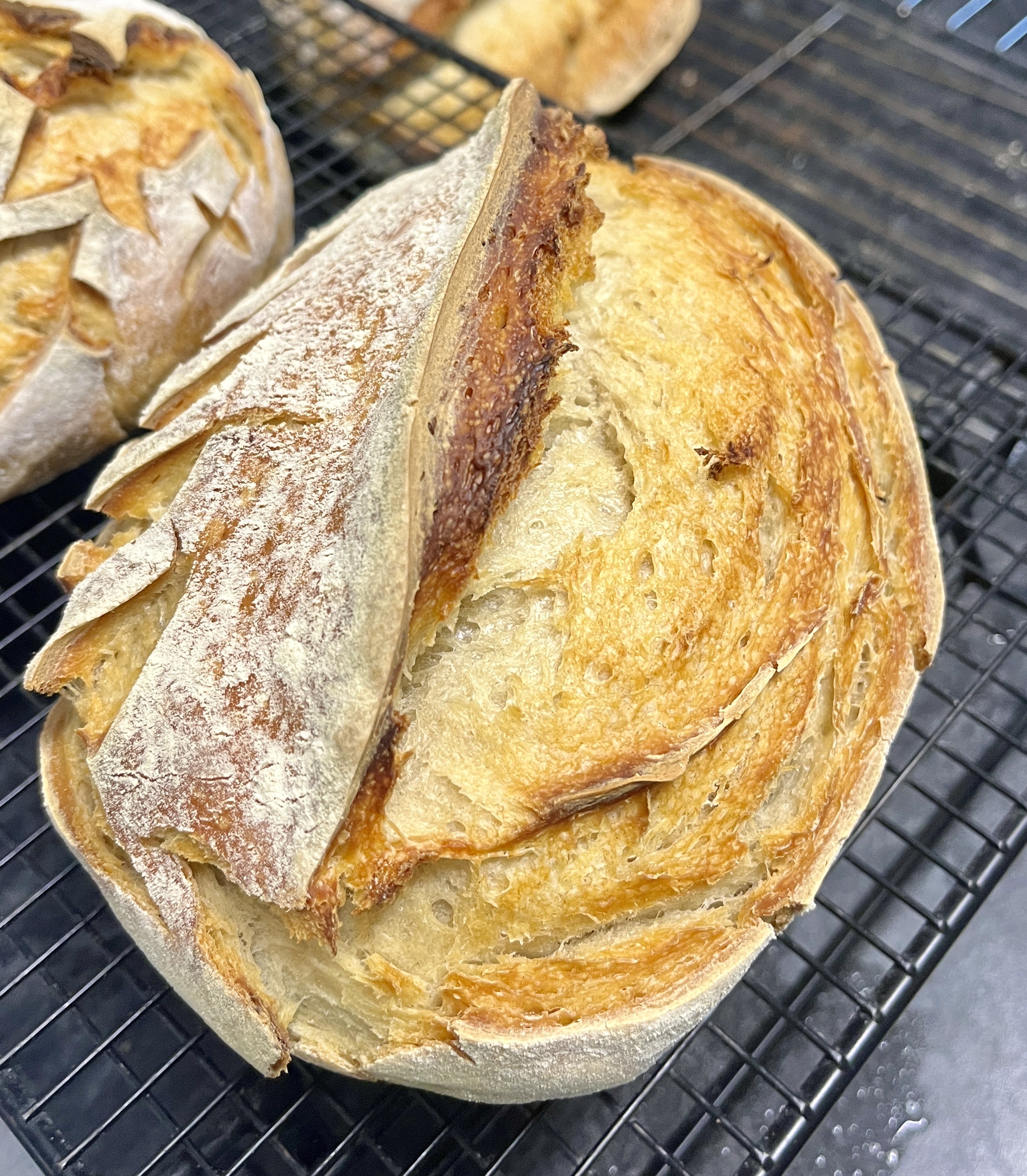 Sourdough Bread Plain