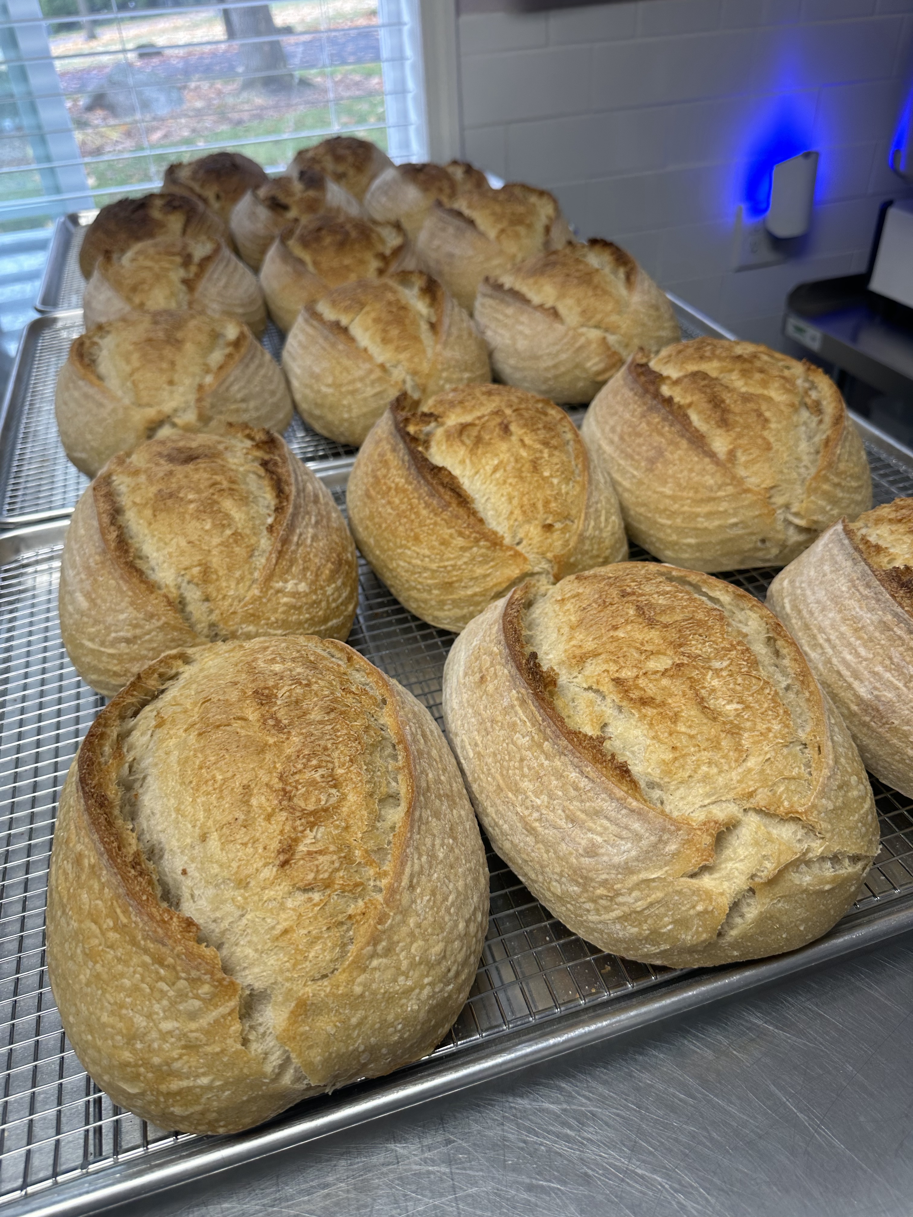 Sourdough 101 Saturday January 24th @ 4pm