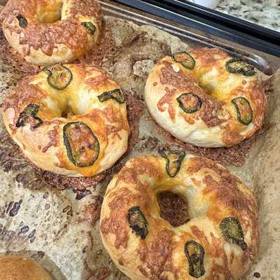 Jalapeño Cheddar Bagel - 6 Pack