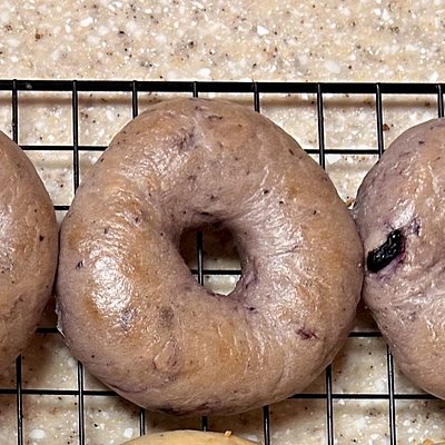 Sourdough Blueberry Bagels