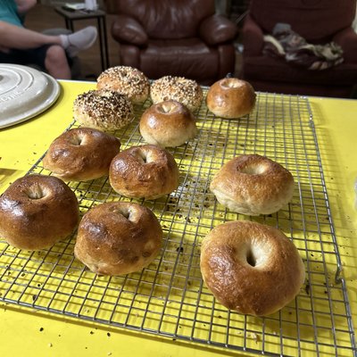 Sour Dough Bagels Assorted  Dozen