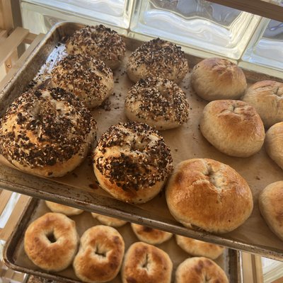 Bagels (1/2 Dozen)
