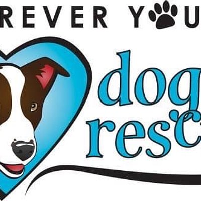 🐾 Additional Rescue Donation 🐾