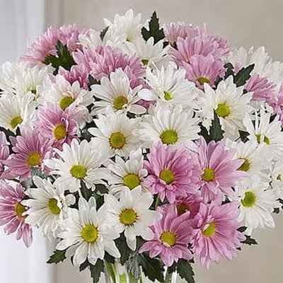 Small Daisy Bouquet 