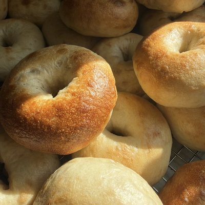 6 Plain Bagels