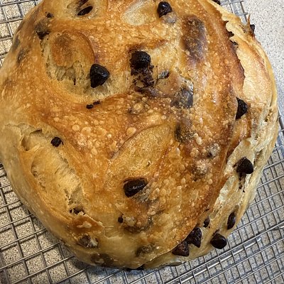 Chocolate Chip Croissant Sourdough 