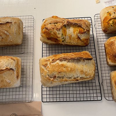 Sour Dough Loaf 