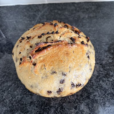 Chocolate Chip Sourdough Loaf
