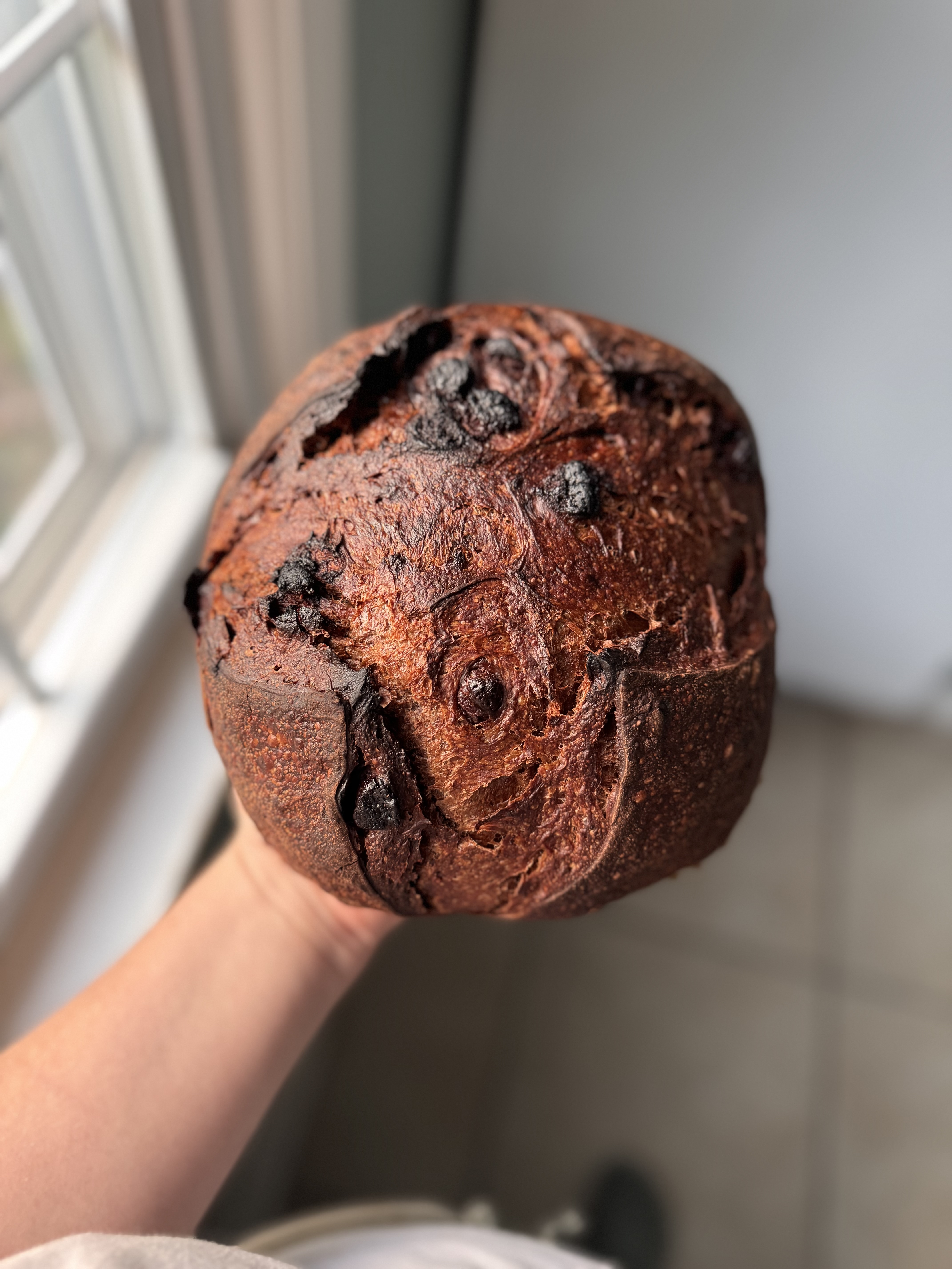 Chocolate Sourdough 