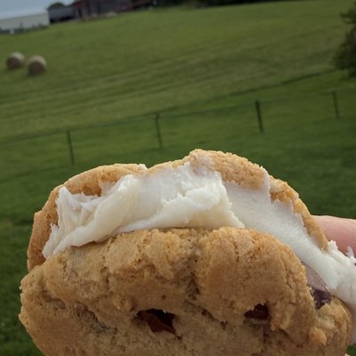 Gluten-Free Chocolate Chip Cookie Sandwiches- 3 Pack